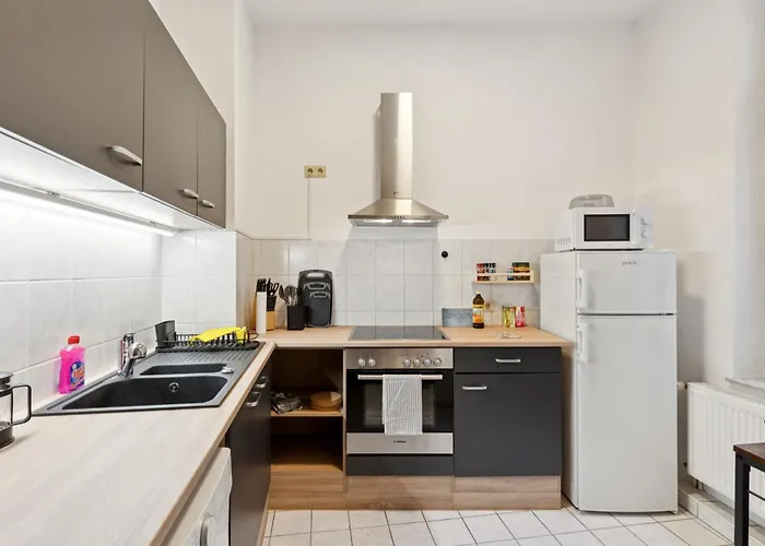 Apartment Larooms Ku11 - Zentrales & Charmantes Altbauapartment - All Inclusiv! In Halle Saale Halle (Saale)